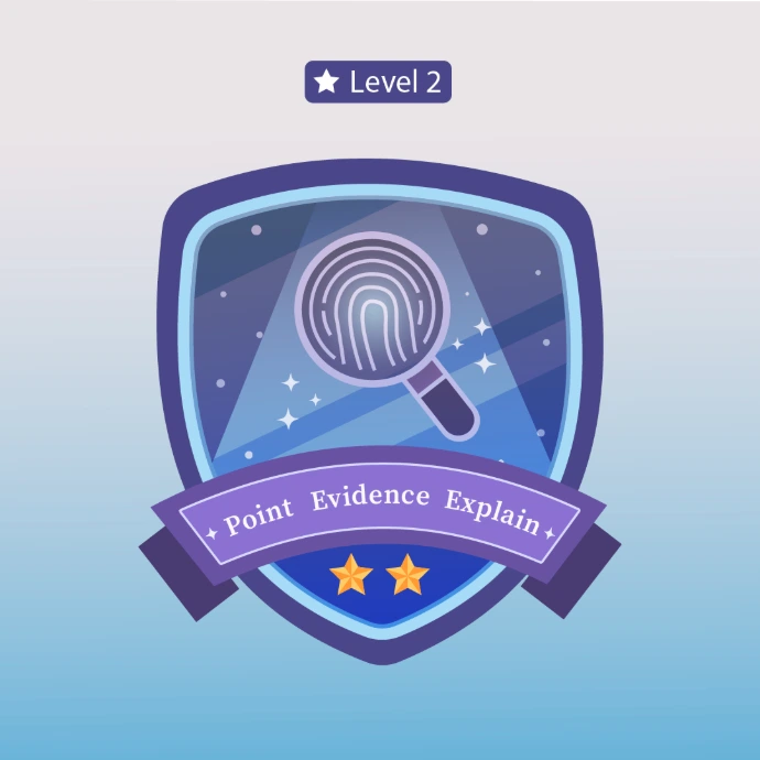 04 - Point-Evidence-Explain - Level 2